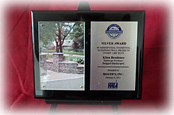 Silver Award WMA